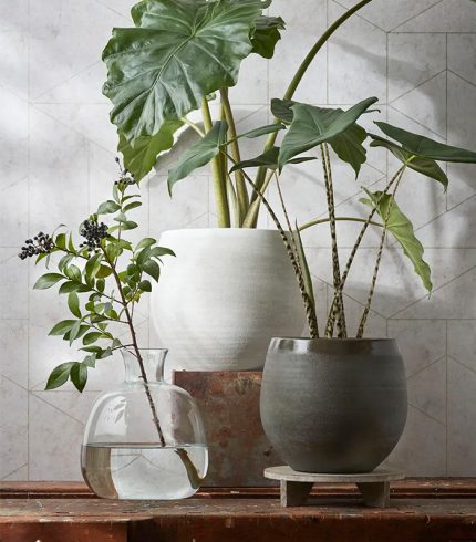 گل قابلمه میکا دورو